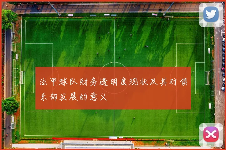 法甲球队财务透明度现状及其对俱乐部发展的意义