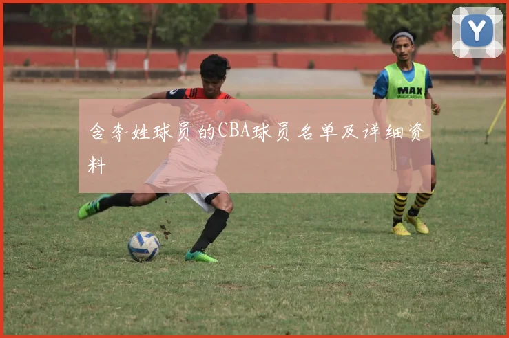 含李姓球员的CBA球员名单及详细资料