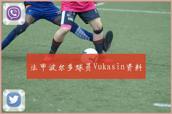 法甲波尔多球员Vukasin资料